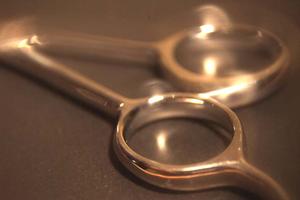 便利で丈夫なプラダンを通販で入手