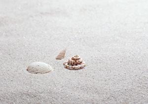 名刺はプロの発注をしましょう！