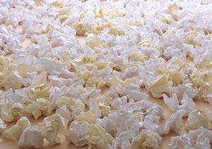 低価格からでも製作できる缶バッチ